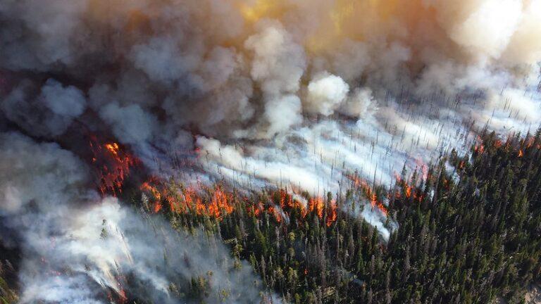 Incendie dans le parc de Yellowstone