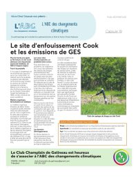 019_cook_img
